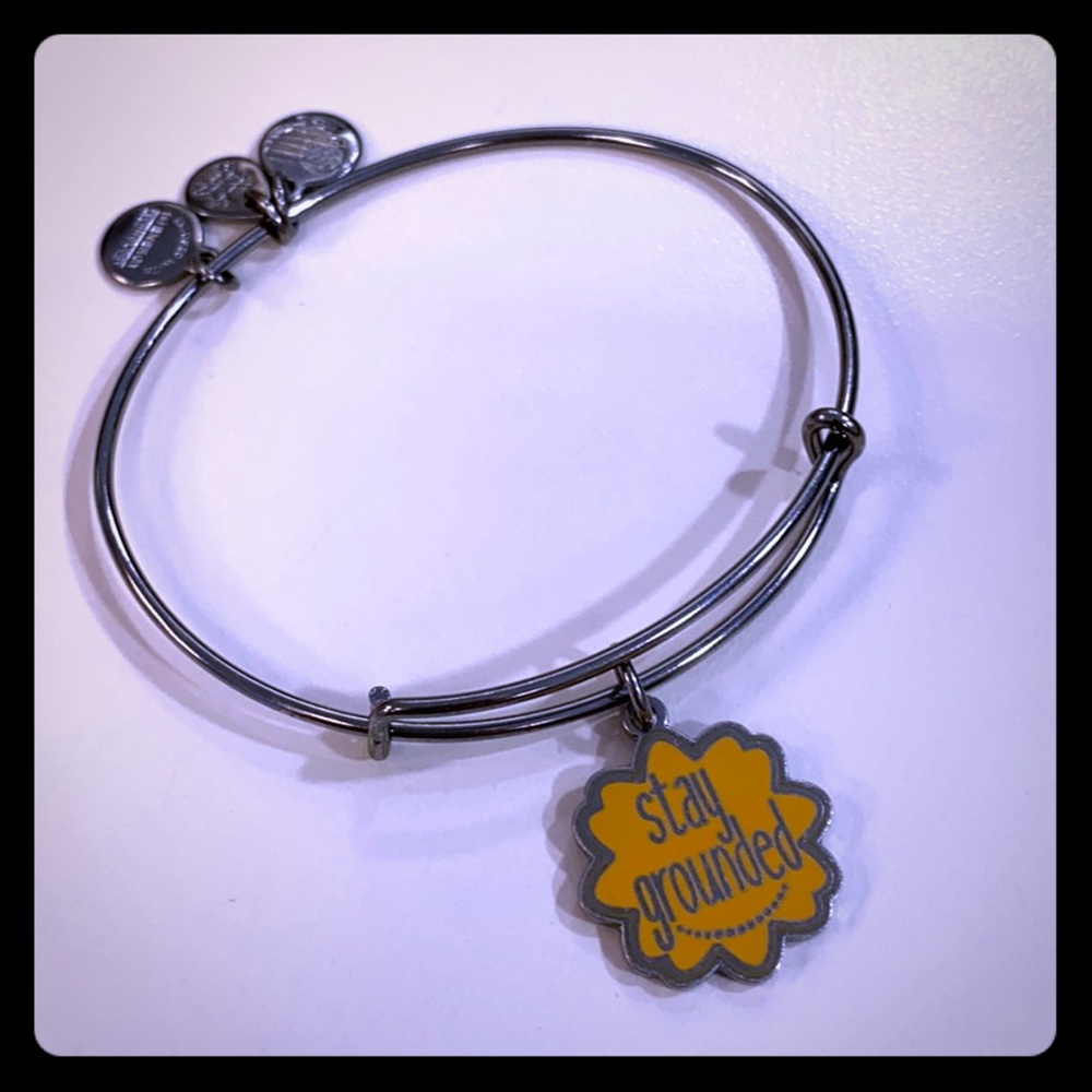 Alex and Ani Midnight Silver Stay Grounded bangle